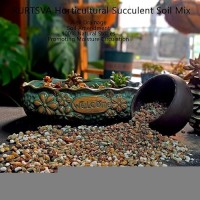 Mix Horticultural1.5Lbs Lava Rocks Mixed Potting Soil For Plants Bonsai Succulents And Cacti Soil Decoration Gravel Volcanic Pumice Stones For Terrarium  Top Dressing  Fairy Gardening