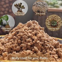 5Lbs Soft Golden Maifanitum Stones Succulent Cactus Decorative Rocks Indoor Plants Top Dressing Soil Horticultural Gravel Diy