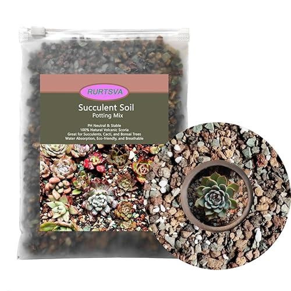 Mix Horticulturall 3Lbs Lava Rocks Mixed Potting Soil For Plants Bonsai Succulents And Cacti Soil Decoration Gravel Volcanic Pumice Stones For Terrarium  Top Dressing  Fairy Gardening