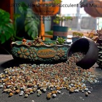 Mix Horticulturall 3Lbs Lava Rocks Mixed Potting Soil For Plants Bonsai Succulents And Cacti Soil Decoration Gravel Volcanic Pumice Stones For Terrarium  Top Dressing  Fairy Gardening