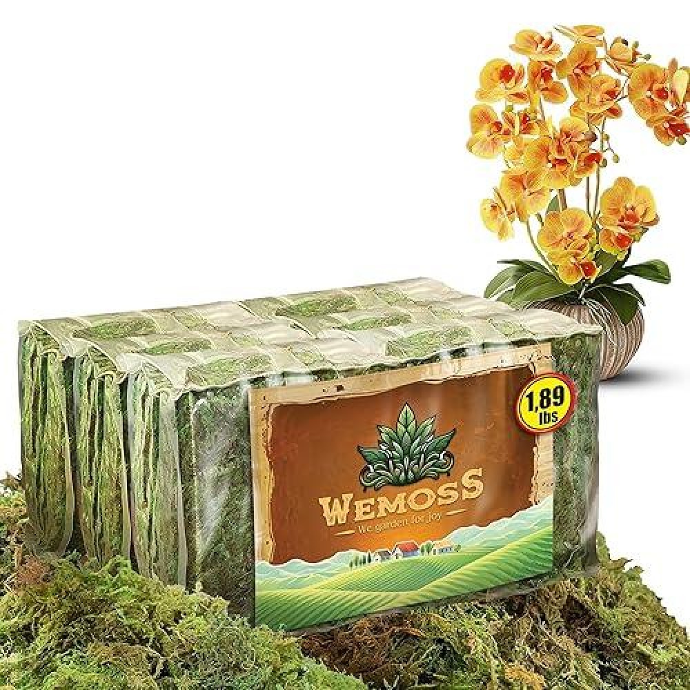 Wemoss Natural Moss For Plants Indoor Dried Moss For Potted Plants Orchid Moss For Repotting Forest Moss For Orchid Potting M