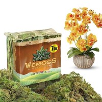 Wemoss Natural Moss For Plants Indoor Dried Moss For Potted Plants Orchid Moss For Repotting Forest Moss For Orchid Potting M