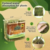 Wemoss Natural Moss For Plants Indoor Dried Moss For Potted Plants Orchid Moss For Repotting Forest Moss For Orchid Potting M