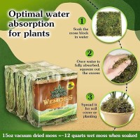 Wemoss Natural Moss For Plants Indoor Dried Moss For Potted Plants Orchid Moss For Repotting Forest Moss For Orchid Potting M