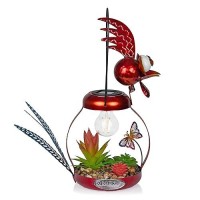 Alpine Corporation Lyt286Slrhh Solarpowered Metal Rooster Wgarden Enclosed Led Light Decor Solar Patio Decor 16H Red