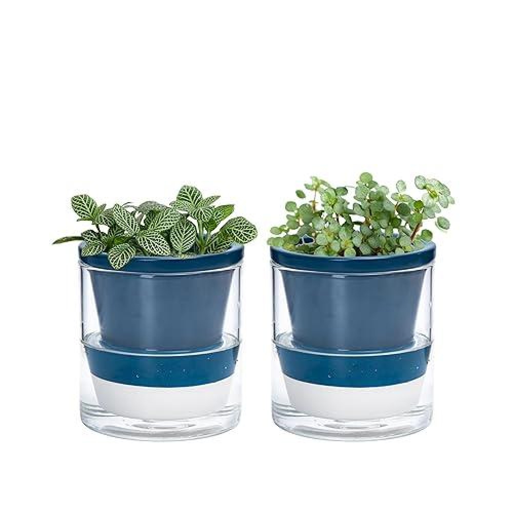 Dvine Dev 4 Inch Design Self Watering Planter For Indoor Plants Blue Terracotta Pots With Cylinder Glass Cup Set Of 2 375A