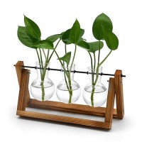 Plant Propagation Station With Wooden Stand Plant Decor Birthday Gifts For Women Christmas For Plant Lovers Plant Terrarium For