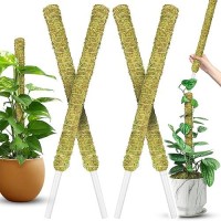 Duspro Natural Stackable Moss Pole For Plants Monstera Potted Plant Stakes For Indoor Plants Extendable Plant Pole Moss Sticks F