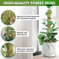 Duspro Natural Stackable Moss Pole For Plants Monstera Potted Plant Stakes For Indoor Plants Extendable Plant Pole Moss Sticks F