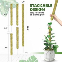 Duspro Natural Stackable Moss Pole For Plants Monstera Potted Plant Stakes For Indoor Plants Extendable Plant Pole Moss Sticks F