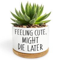 Bttwkco Funny Succulent Pots Mini Succulent Planter Pots Cute Planters For Succulents Small Ceramic Cactus Pot With Drainage