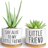 Kwtzkuo 2 Pack Say Aloe To My Little Friend Funny Succulent Pots Cute Small Ceramic Planter Pot With Drainage Home Office