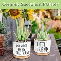 Kwtzkuo 2 Pack Say Aloe To My Little Friend Funny Succulent Pots Cute Small Ceramic Planter Pot With Drainage Home Office