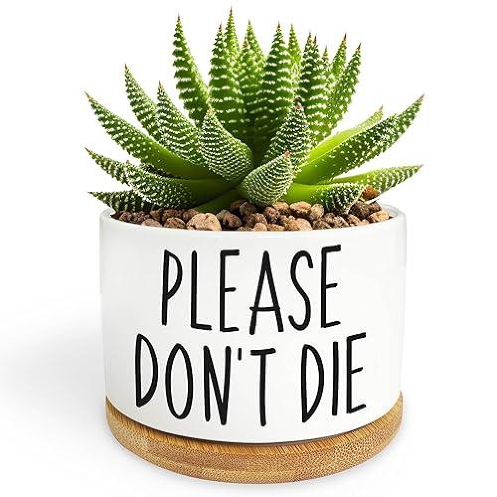 Bttwkco Please Dont Die Cute White Succulent Pots Home Kitchen Office Decor Funny Ceramic Small Plant Pots Funny Planters F