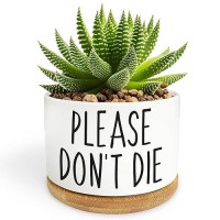 Bttwkco Please Dont Die Cute White Succulent Pots Home Kitchen Office Decor Funny Ceramic Small Plant Pots Funny Planters F