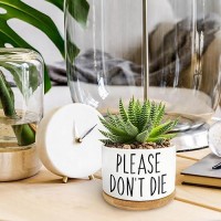 Bttwkco Please Dont Die Cute White Succulent Pots Home Kitchen Office Decor Funny Ceramic Small Plant Pots Funny Planters F