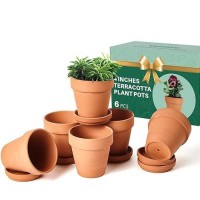 Vensovo 6 Pack Small Terracotta Flower Pots With Holes Saucers 4 Inch Clay Planter With Shockproof Package Perfect For Plant