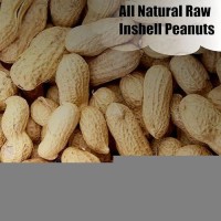 Old Potters Wildlife Inshell Peanuts 25 Lbs For Birds Squirrels And Wildlife Usa Grown Nongmo Organic Small Farm Raw In