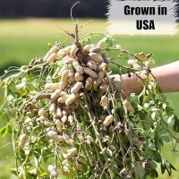 Old Potters Wildlife Inshell Peanuts 25 Lbs For Birds Squirrels And Wildlife Usa Grown Nongmo Organic Small Farm Raw In