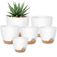 Qrrica Plant Pots 87656555 Inch Self Watering Pots Set Of 6 Plastic Planters With Drainage Holes And Saucers Plastic Flo