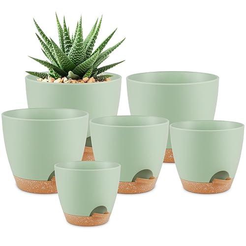 Qrrica Plant Pots 87656555 Inch Self Watering Pots Set Of 6 Plastic Planters With Drainage Holes And Saucers Plastic Flo