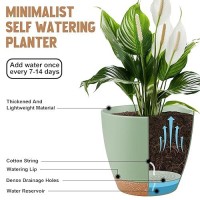 Qrrica Plant Pots 87656555 Inch Self Watering Pots Set Of 6 Plastic Planters With Drainage Holes And Saucers Plastic Flo