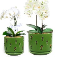 Buymax Set Of 2 Orchid Pots With Holes Saucers For Orchid Root Health 5 Inch6 Inch Ceramic Pots For Plants Effective Draina