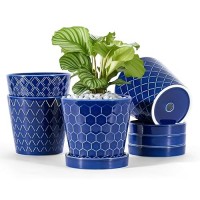 Buymax Ceramic Plant Pots 5 Inch Indoor Flower Pot With Drainage Hole And Ceramic Tray Gardening Home Desktop Office Windowsi