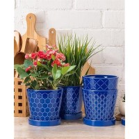 Buymax Ceramic Plant Pots 5 Inch Indoor Flower Pot With Drainage Hole And Ceramic Tray Gardening Home Desktop Office Windowsi