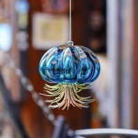 Hd Hyaline Dora Blown Glass Jellyfish Hanging Air Planter Cute Blue Jellyfish Air Plant Holder Gifts For Women Room Garden W