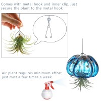 Hd Hyaline Dora Blown Glass Jellyfish Hanging Air Planter Cute Blue Jellyfish Air Plant Holder Gifts For Women Room Garden W