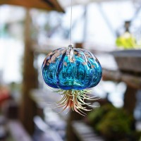 Hd Hyaline Dora Blown Glass Jellyfish Hanging Air Planter Cute Blue Jellyfish Air Plant Holder Gifts For Women Room Garden W