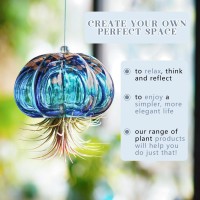 Hd Hyaline Dora Blown Glass Jellyfish Hanging Air Planter Cute Blue Jellyfish Air Plant Holder Gifts For Women Room Garden W