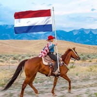 3X5 Netherlands Flag Outdoor Netherland Dutch Flags Double Sided Vivid Color Holland Holanda Country Flag Banner Heavy Duty 210D Nylon Cloth With 2 Brass Grommets 4 Rows Of Stitches