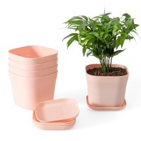 Bisenwin Small Pots For Plants 6 Inch Plant Pot Indoor Square Mini Plastic Flower Pots Outdoor For Garden Pink 5Pcs 6 Inch