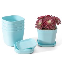 Bisenwin Small Pots For Plants 6 Inch Plant Pot Indoor Square Mini Plastic Flower Pots Outdoor For Garden Blue 5Pcs 6 Inch