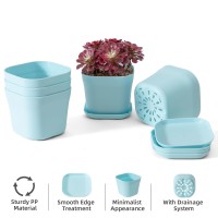 Bisenwin Small Pots For Plants 6 Inch Plant Pot Indoor Square Mini Plastic Flower Pots Outdoor For Garden Blue 5Pcs 6 Inch