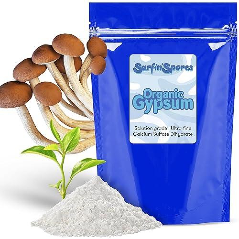 Gypsum Powder - Ideal For Mushroom Substrate  Grain  And Soil  Promotes Healthy Mycelial Growth  Rich In Calcium And Sulfur  Enhances Root Strength & Fertility - Premium Lab-Grade (1  Pounds)