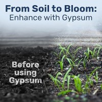 Gypsum Powder - Ideal For Mushroom Substrate  Grain  And Soil  Promotes Healthy Mycelial Growth  Rich In Calcium And Sulfur  Enhances Root Strength & Fertility - Premium Lab-Grade (5  Pounds)