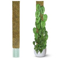 Duspro 59 Flat Mesh Moss Poles For Climbing Plants Monstera Flat Stacks For Tall Plant With Real Moss Moss Pole For Indoor Plant