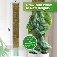 Duspro 59 Flat Mesh Moss Poles For Climbing Plants Monstera Flat Stacks For Tall Plant With Real Moss Moss Pole For Indoor Plant