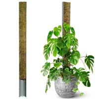 Duspro 59 Dshape Moss Pole For Climbing Plants Monstera Moss Plant Pole Handmade Moss Stick For Indoor Plants Grow Upward 59