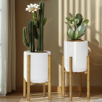 Luxenhome Set Of 2 White Metal Cachepot Planters With Gold Standstextured Round Mid Century Modern Planter With Drainage Holes L