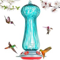 Hummingbird Feeders For Outdoors 28 Fluid Ounces Hand Blown Glass Hummingbirds Feeder With Ant Moat Hook Garden Backyard Decor