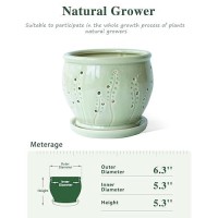 Pavtner Ceramic Orchid Pot 6.3 Inch  Orchid Pots With Holes  Large Orchid Pot For Repotting  Ventilation Holes Breathable For Roots  Durable Ice-Cracked Glaze Ceramic Planter Pot (Grass Green)