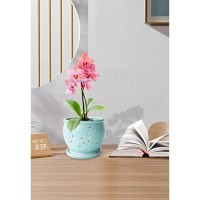 Orchid Pot 6.3 Inch  Orchid Pots With Holes & Saucer  Orchid Pot For Repotting  Beatiful Ice Cracked Glaze Ceramic Plant Pot Indoor Planter  Breathable Slotted Orchids Planter(Water Blue)