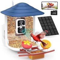 Birdsnap Tuc Smart Bird Feeder With Camerasolar Panel Sd Card 4In1 Perch 160View 1080P Auto Detect Notify Ai Identify 10