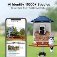 Birdsnap Tuc Smart Bird Feeder With Camerasolar Panel Sd Card 4In1 Perch 160View 1080P Auto Detect Notify Ai Identify 10