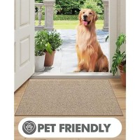 Lumi Indoor Doormat Low Profile Entryway Rug Ultrathin Non Slip Rubber Backing Welcome Mat Pet Friendly Stainresistant Door