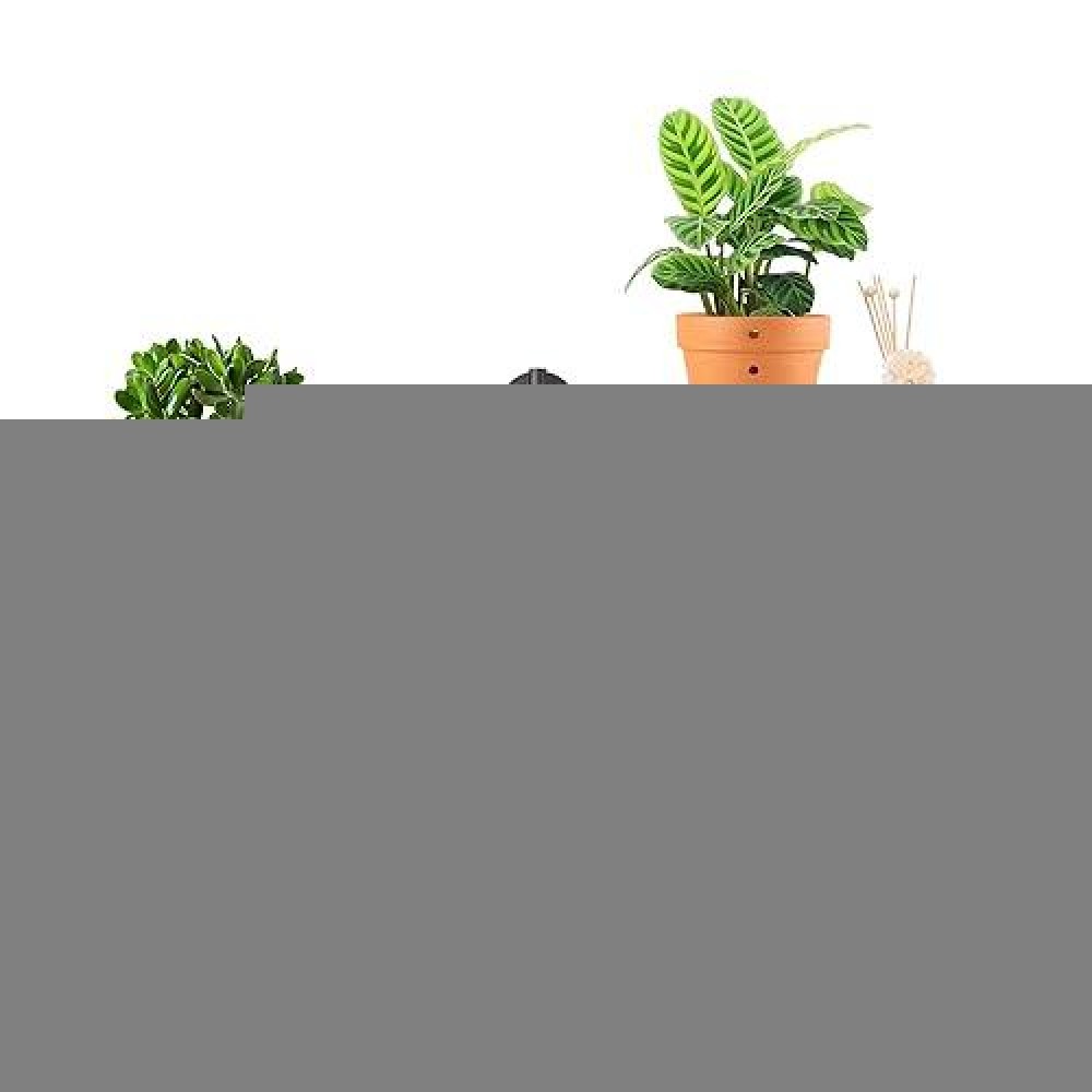 Yffsrjdj Rotating Window Plant Shelves For Multiple Plants Indoors 3-Tier Metal Corner Black Plant Stand Holder Floating Plant Shelf For Wall Windows Sill Gifts For Plant Lovers To Enhance Home Decor